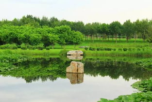 北京人少景美的公园,原来还有这些