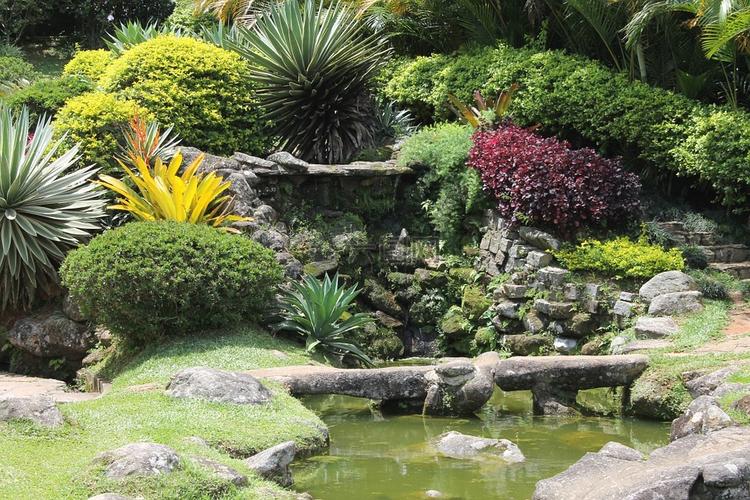 cascatinha,花园,园林绿化