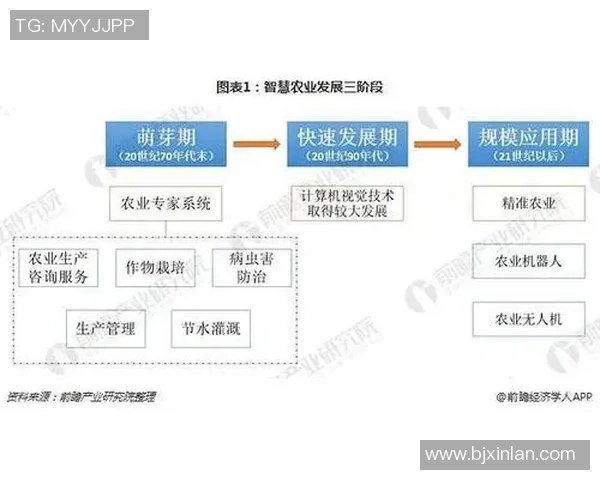 深圳排球队比赛经验分析与数据解读探讨